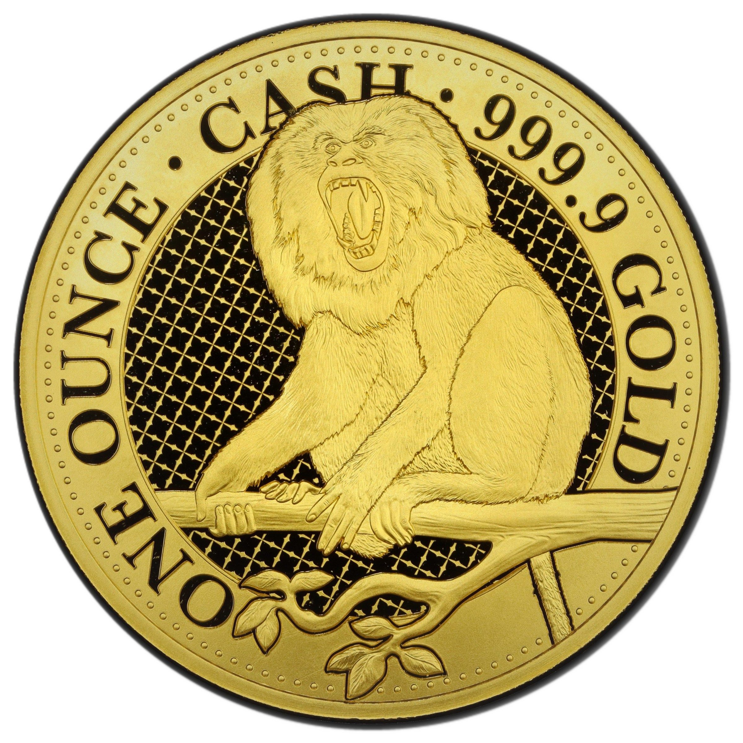 Saint Helena 100 Pounds - Charles III India Wildlife - Macaque Monkey