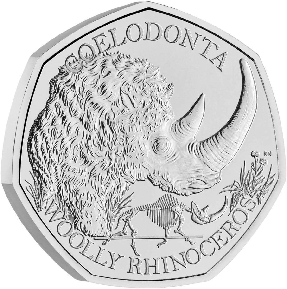 50 Pence - Charles III Woolly Rhinoceros obverse