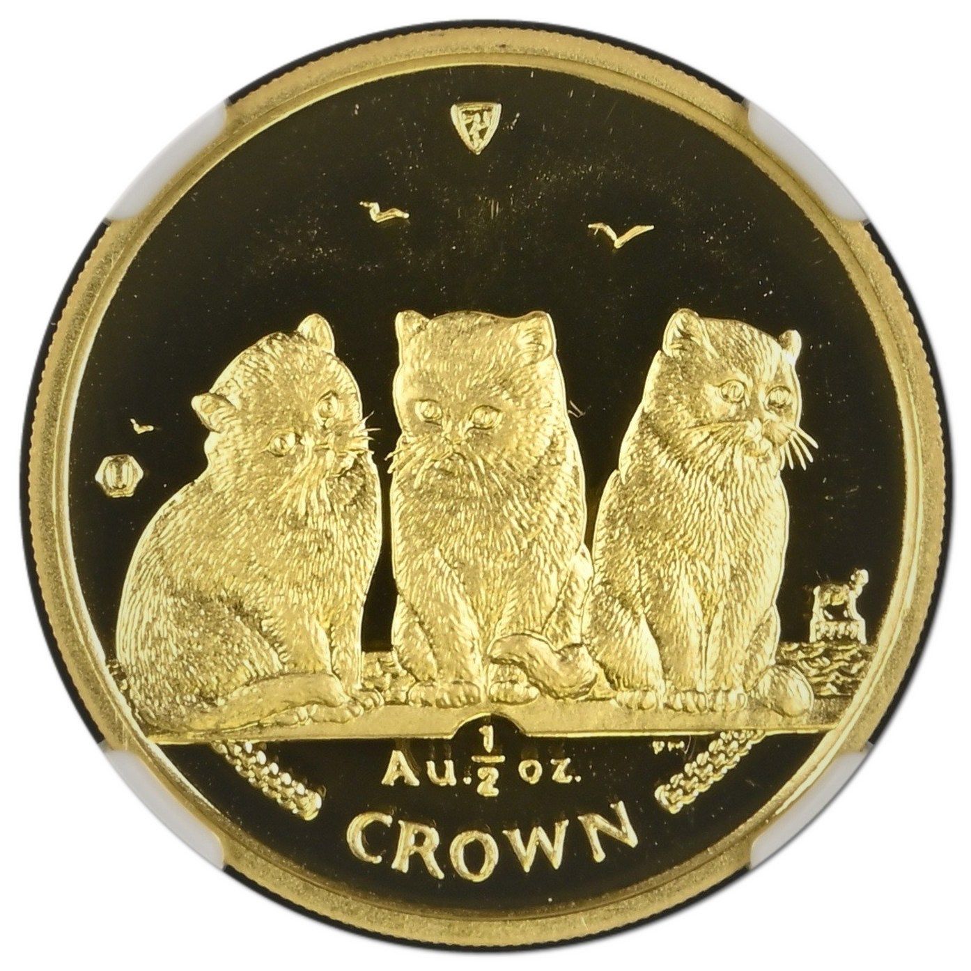 Isle of Man ½ Crown - Elizabeth II Exotic Shorthair Cat