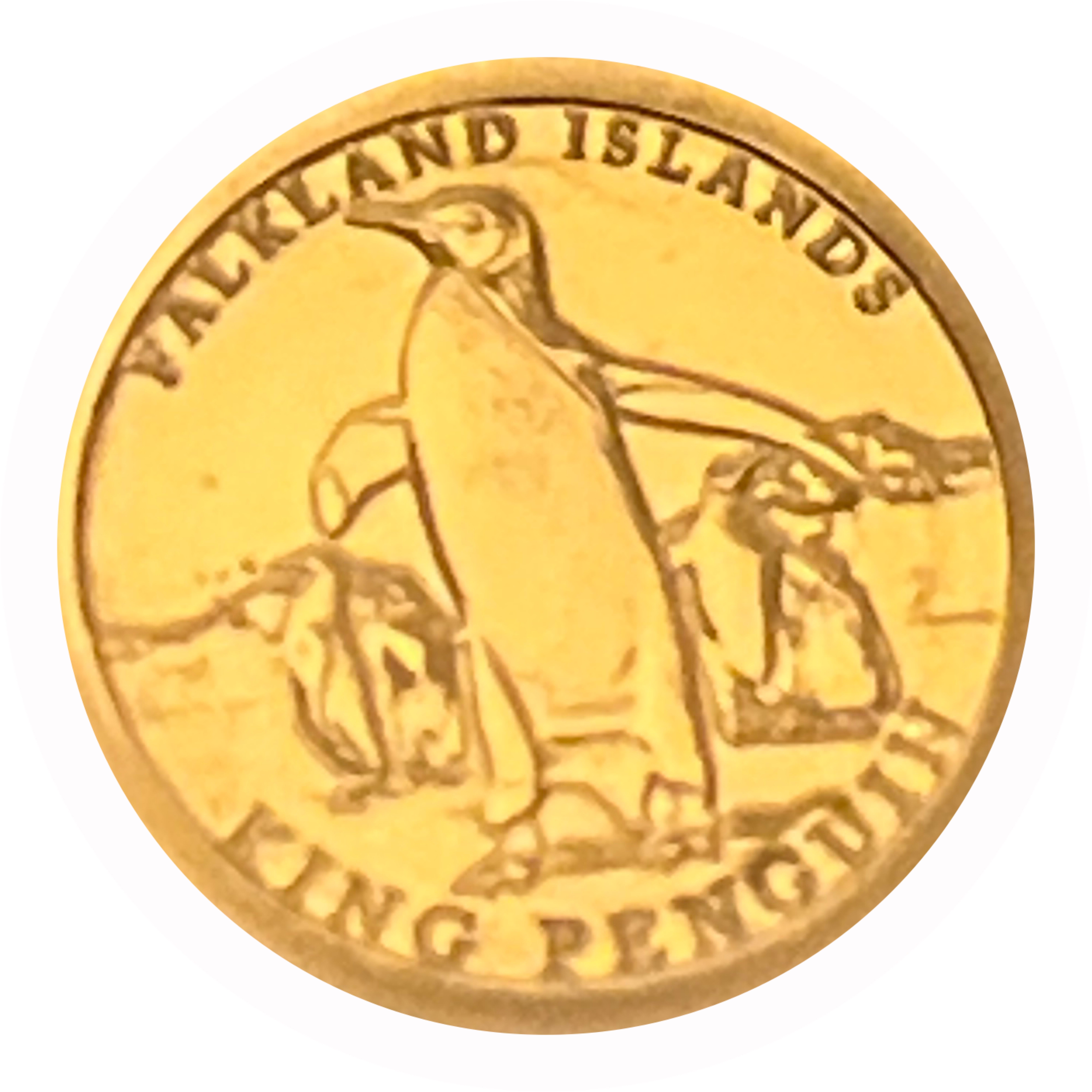 Falkland Islands 1/25 Crown - Charles III King Penguin, gold reverse