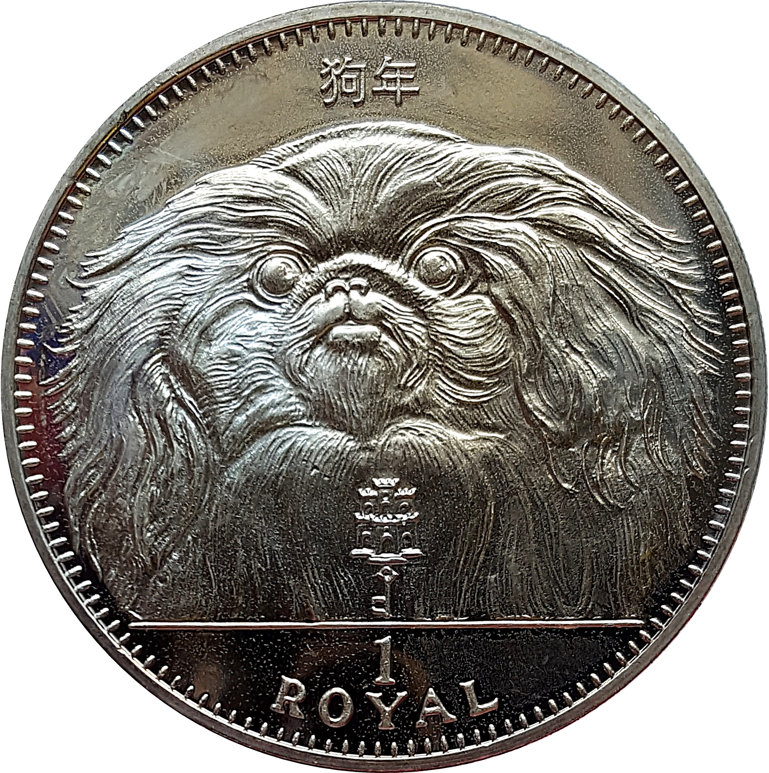 Gibraltar 1 Royal - Elizabeth II Pekingese Dog
