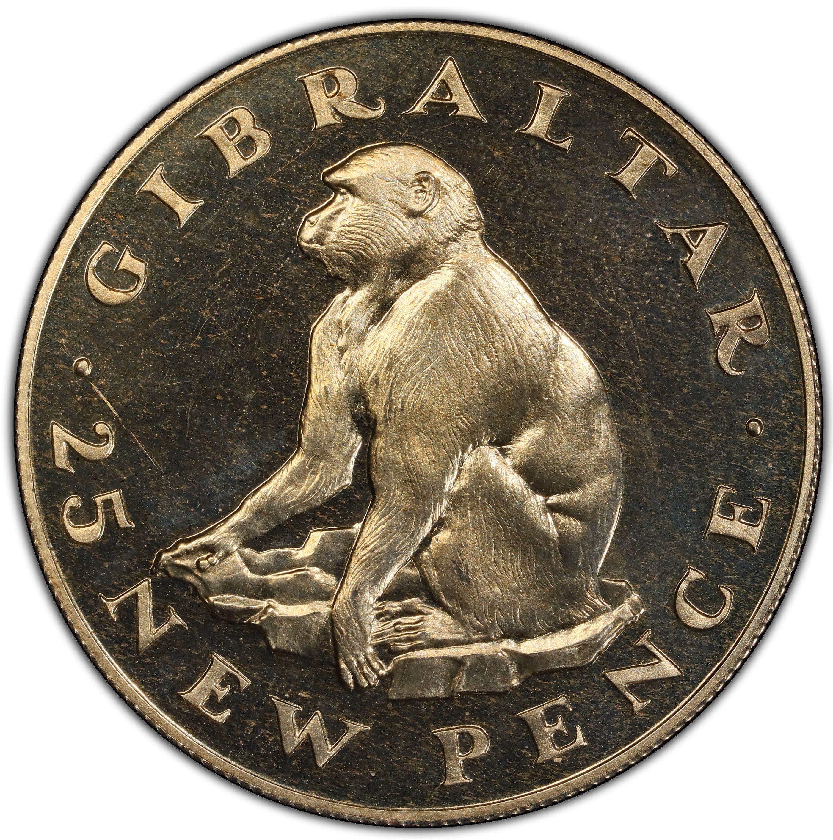 Gibraltar 25 New Pence - Elizabeth II Barbary Ape; Silver Proof