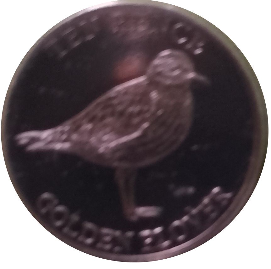Guernsey 10 Pence - Charles III Golden Plover