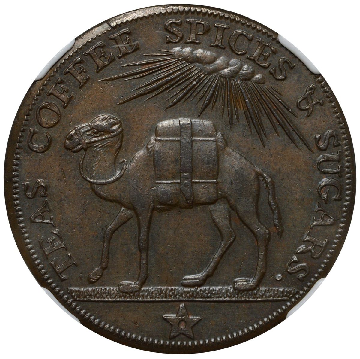 1 Penny - Somerset - Bath M. Lamb & Son obverse