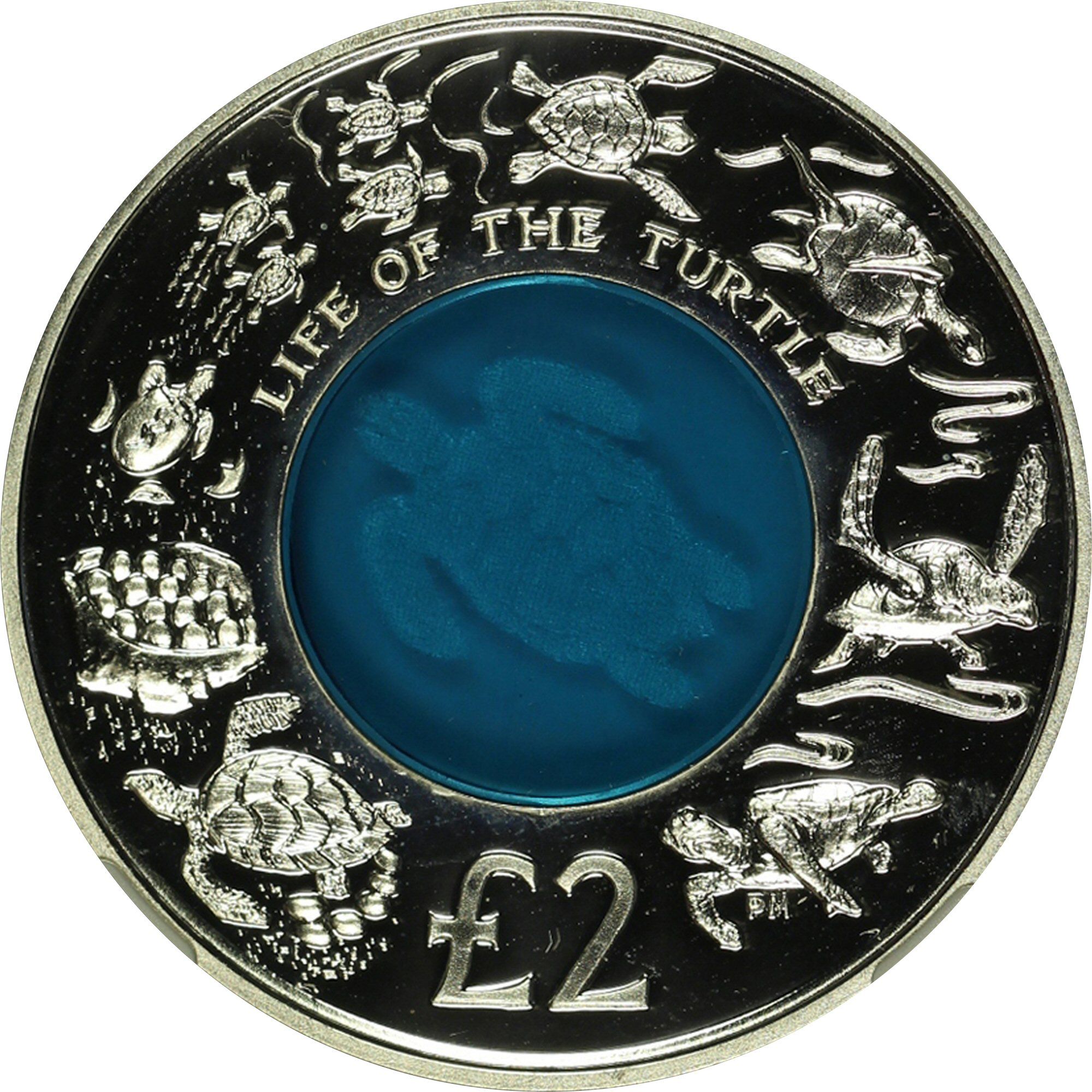 British Indian Ocean Territory 2 Pounds - Elizabeth II Life of the turtle
