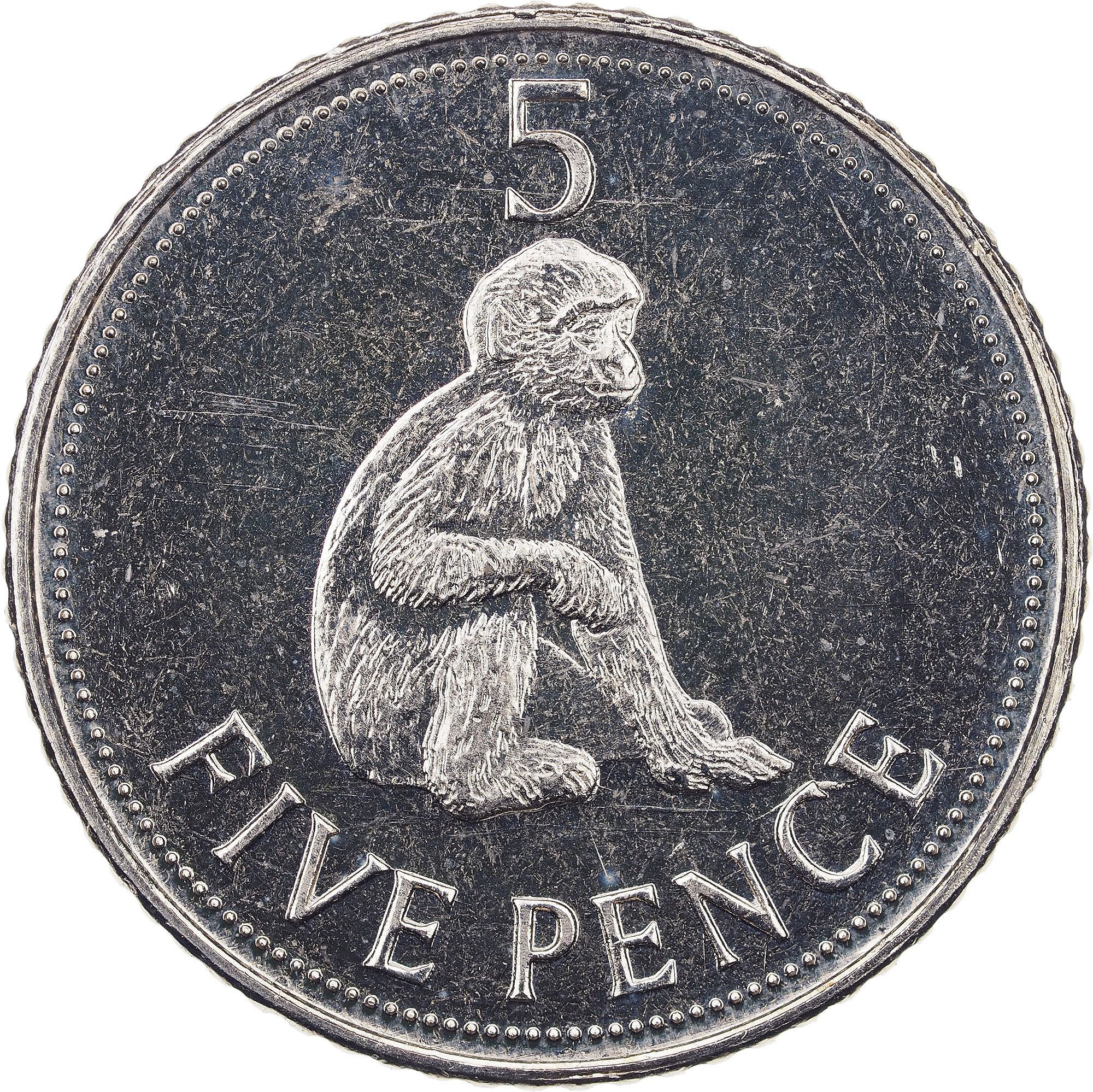 Gibraltar 5 Pence - Elizabeth II Barbary Macaque; smaller bust