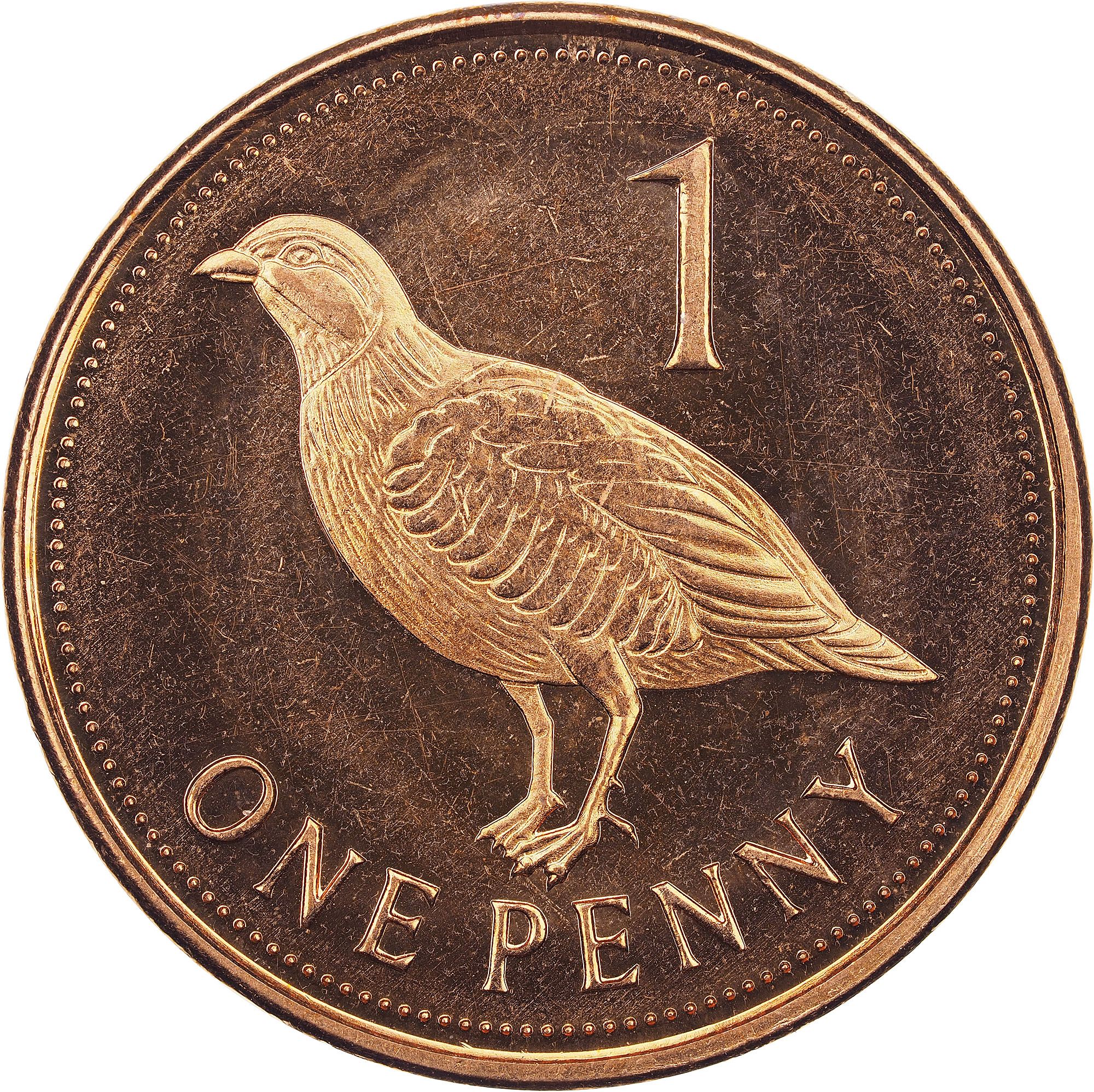 Gibraltar 1 Penny - Elizabeth II Barbary Partridge; smaller bust reverse
