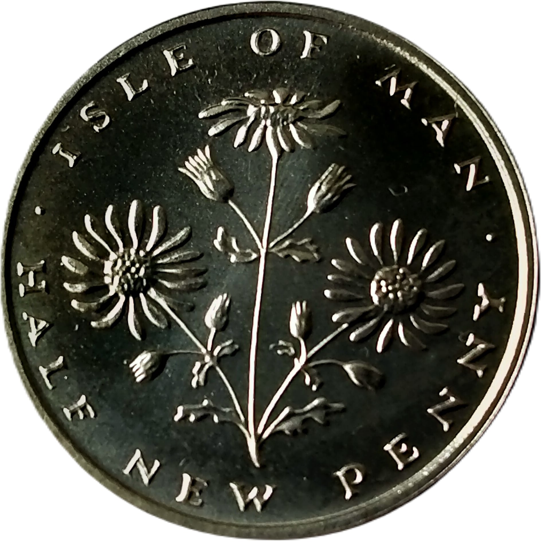 Isle of Man ½ New Penny - Elizabeth II Ragwort; Silver