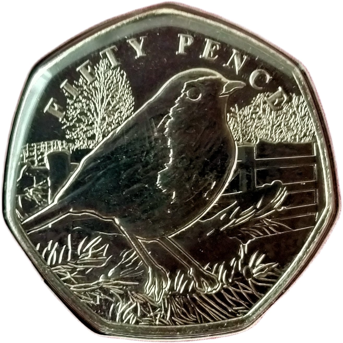 Guernsey 50 Pence - Charles III A Robin in a Spruce Tree reverse
