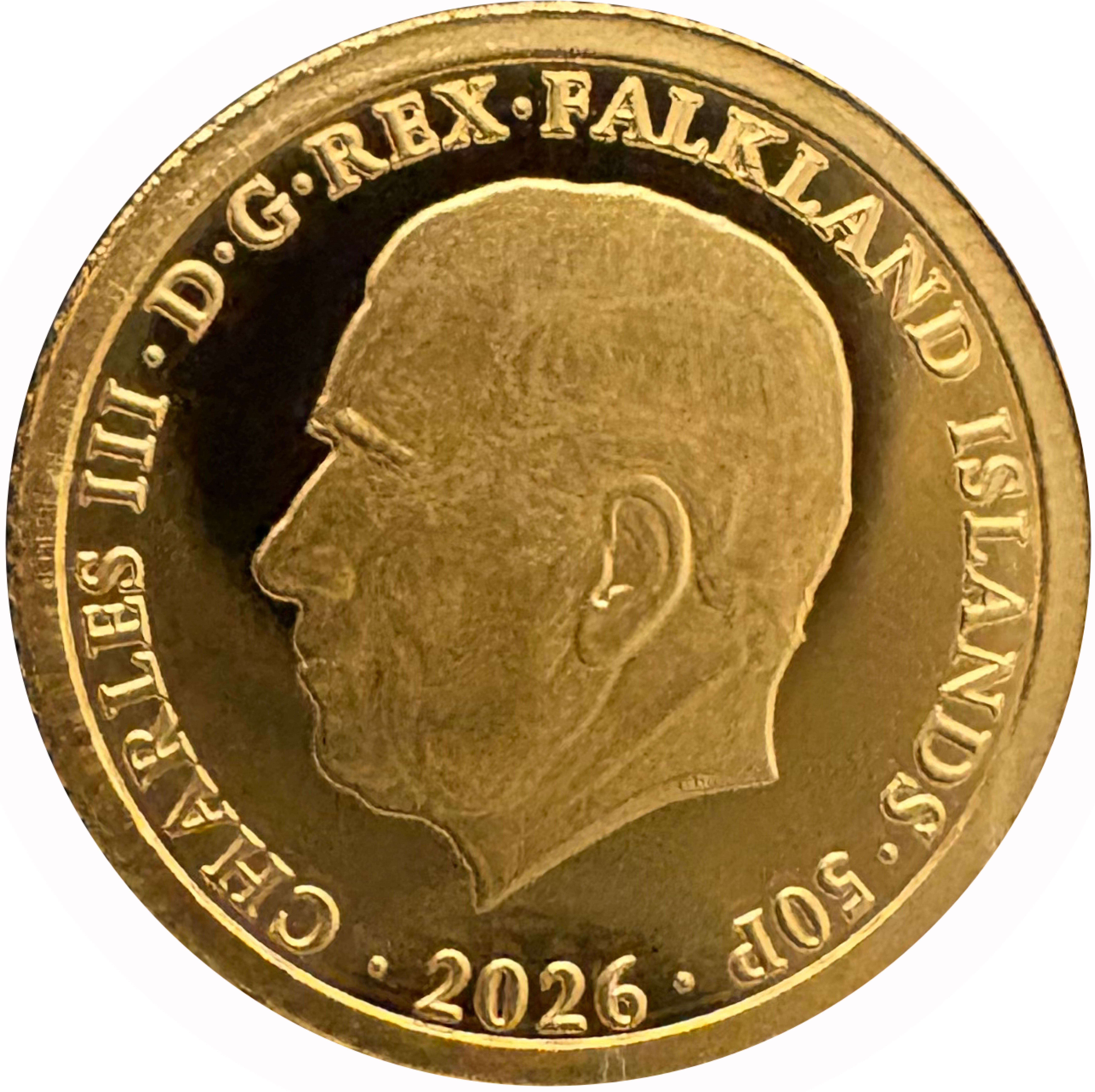 Falkland Islands 50 Pence - Charles III Southern Rockhopper Penguin; gold obverse