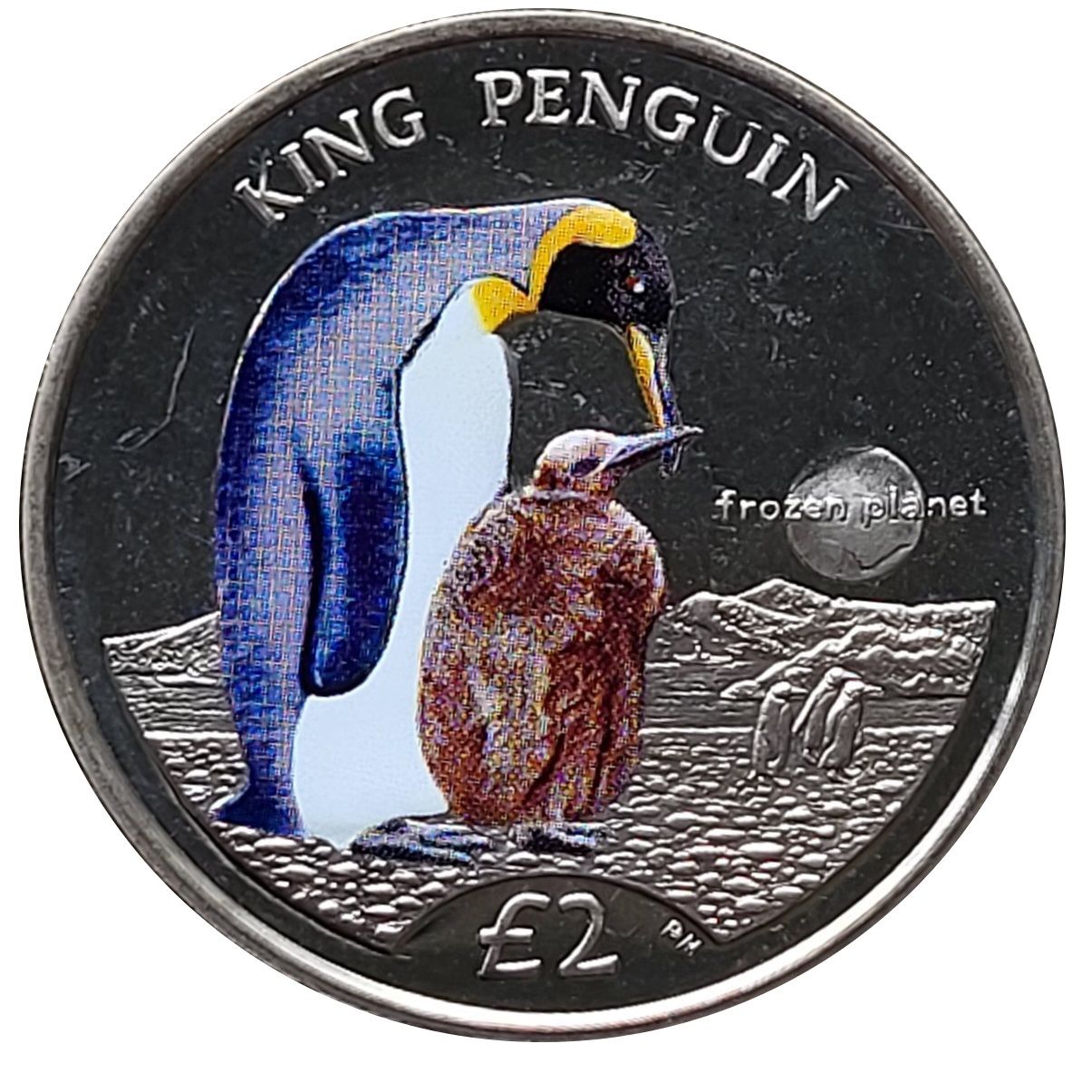 South Georgia and the South Sandwich Islands 2 Pounds - Elizabeth II King Penguin, Coloured variant