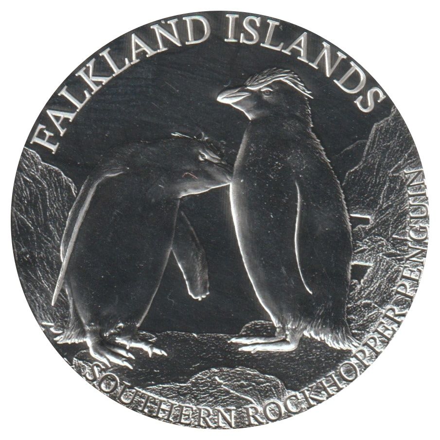 Falkland Islands 5 Pounds - Charles III Southern Rockhopper Penguin; silver