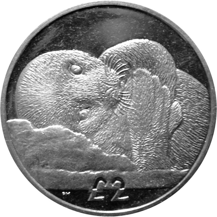 South Georgia and the South Sandwich Islands 2 Pounds - Elizabeth II Weddell Seal