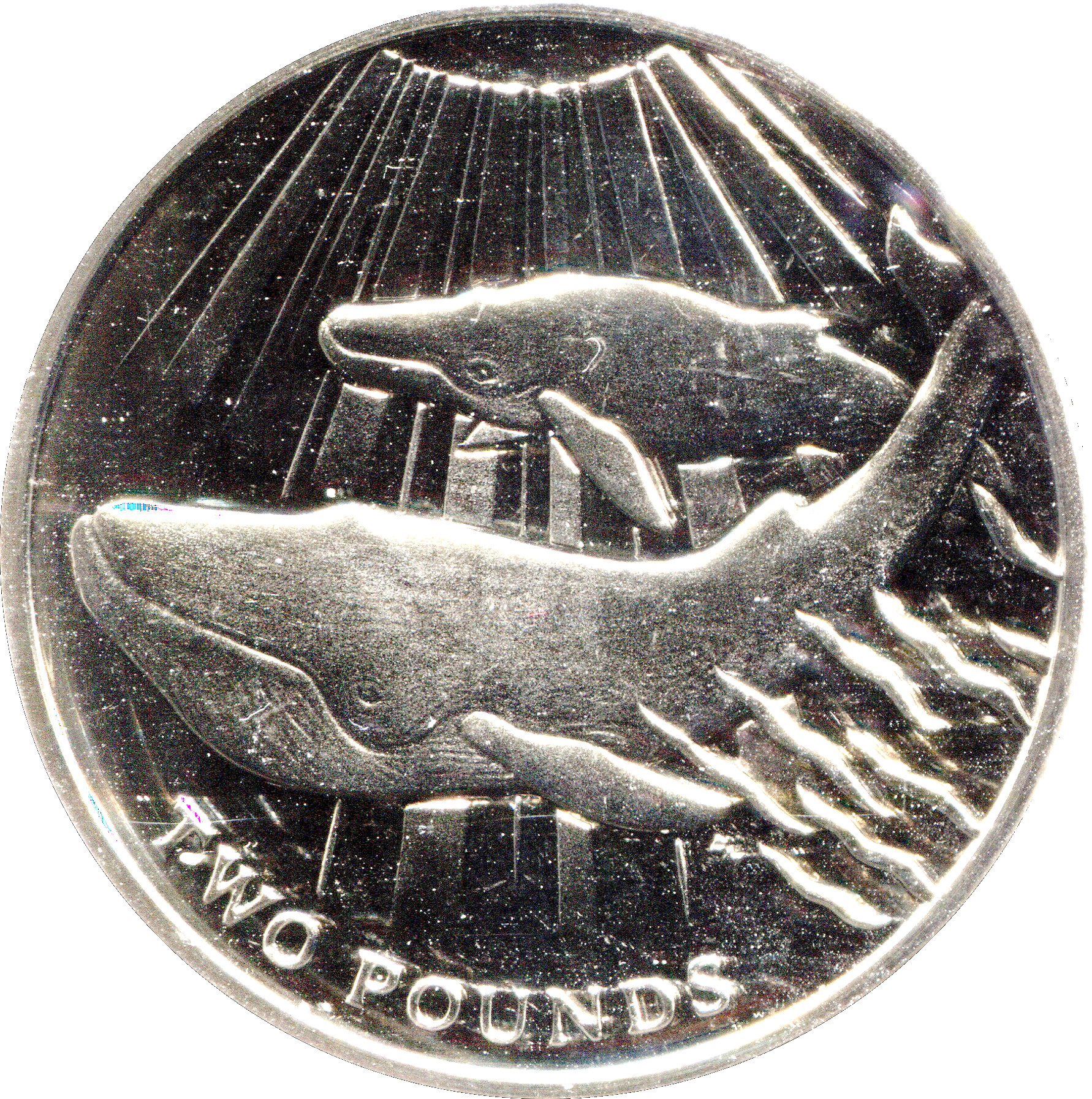 South Georgia and the South Sandwich Islands 2 Pounds - Elizabeth II Blue Whale