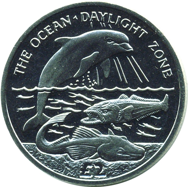 South Georgia and the South Sandwich Islands 2 Pounds - Elizabeth II Daylight Zone