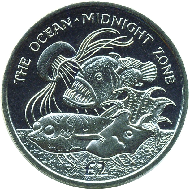 South Georgia and the South Sandwich Islands 2 Pounds - Elizabeth II Midnight Zone