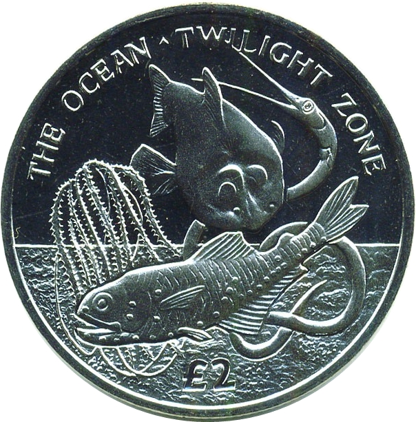South Georgia and the South Sandwich Islands 2 Pounds - Elizabeth II Twilight zone