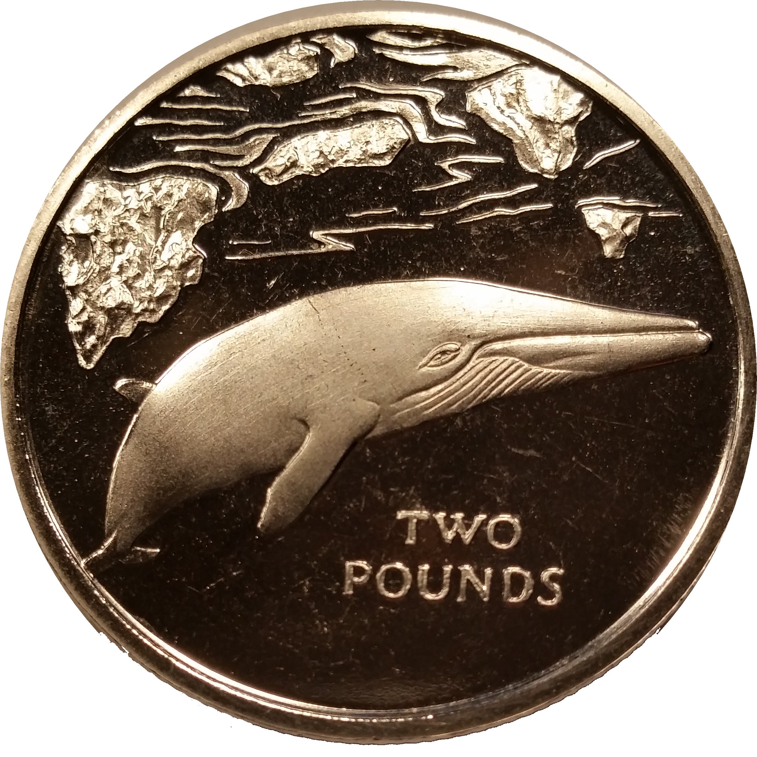 South Georgia and the South Sandwich Islands 2 Pounds - Elizabeth II Minke whale