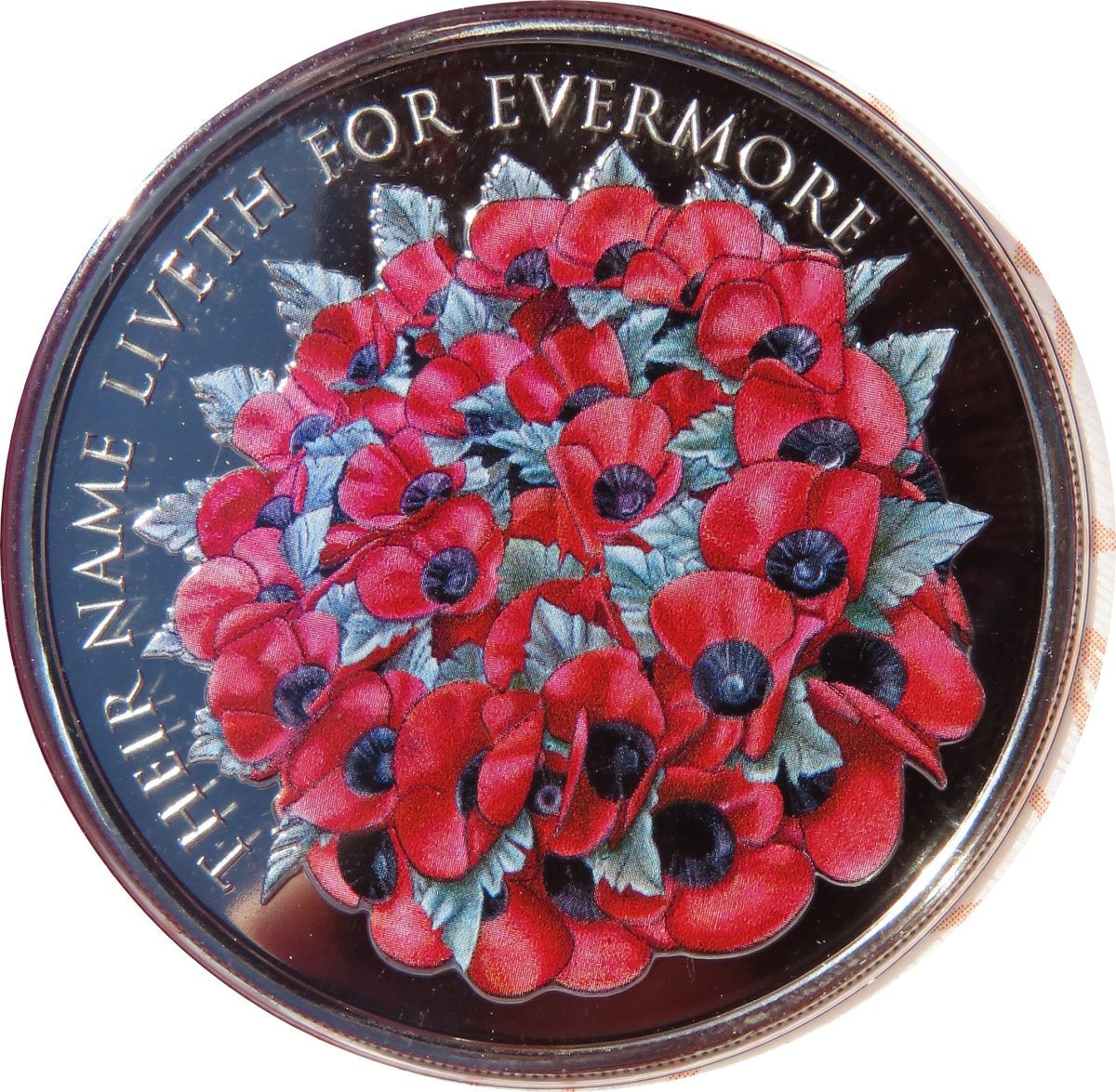 Alderney 5 Pounds - Elizabeth II 2016 Remembrance Day