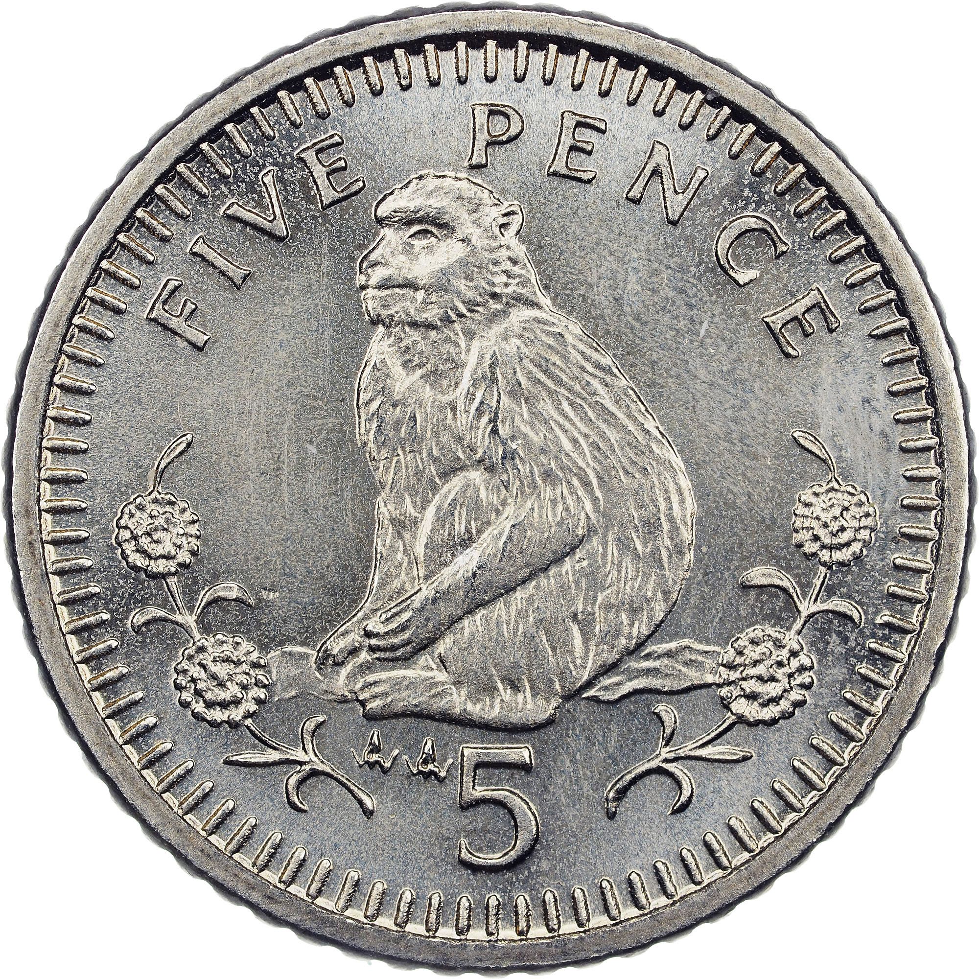 Gibraltar 5 Pence - Elizabeth II Barbary Macaque; small type