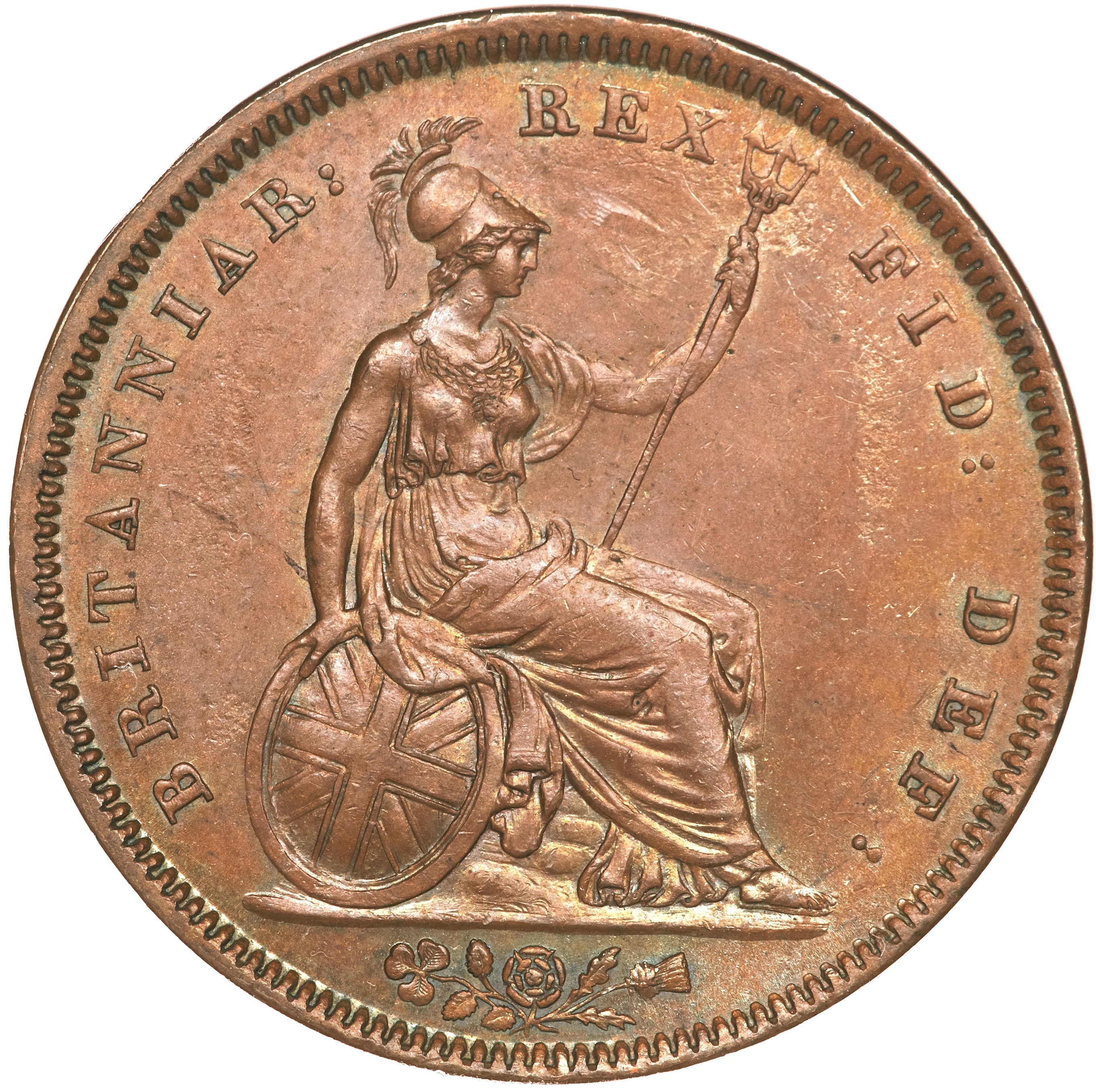 1 Penny - William IV reverse