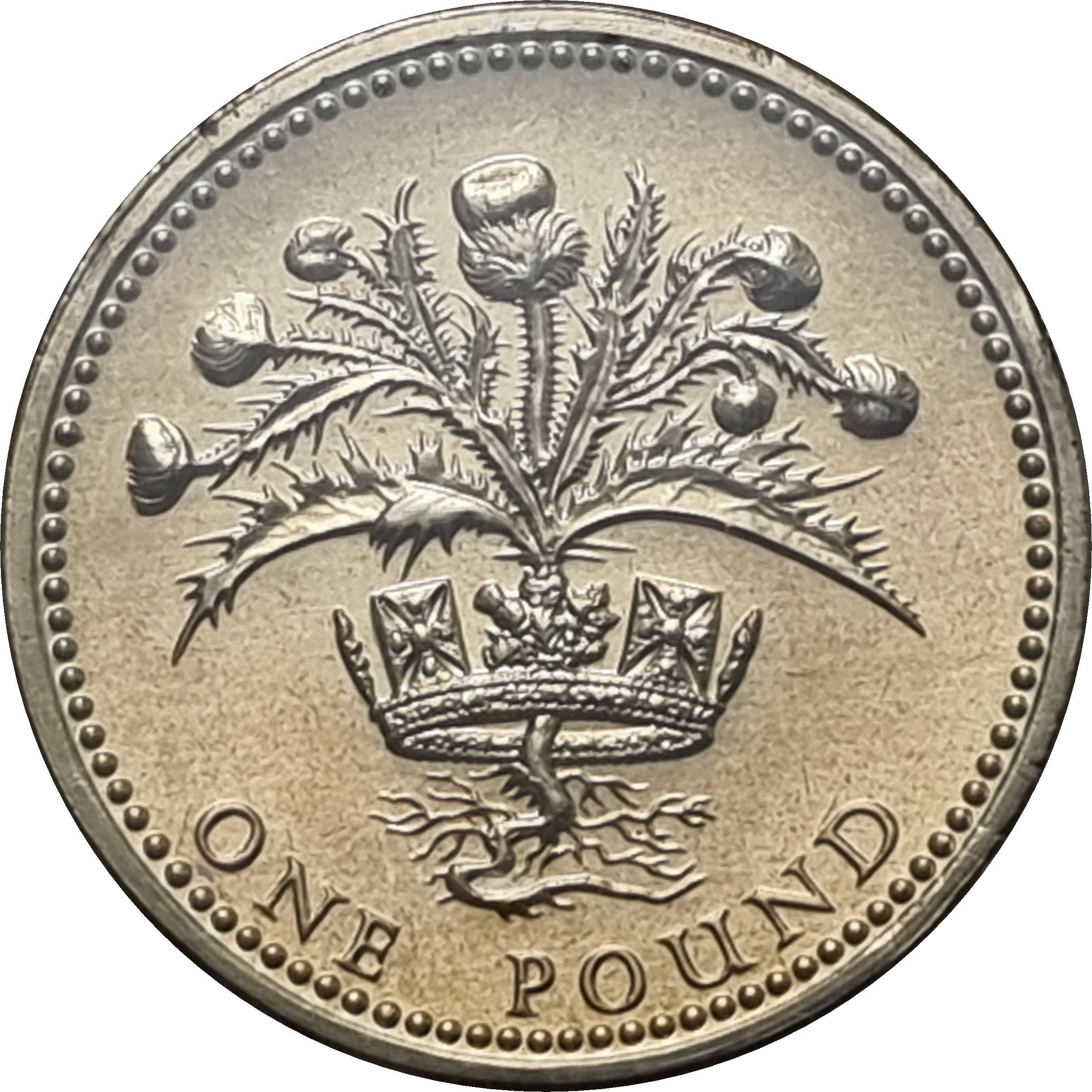 1 Pound - Elizabeth II 2nd portrait; Scottish Thistle reverse