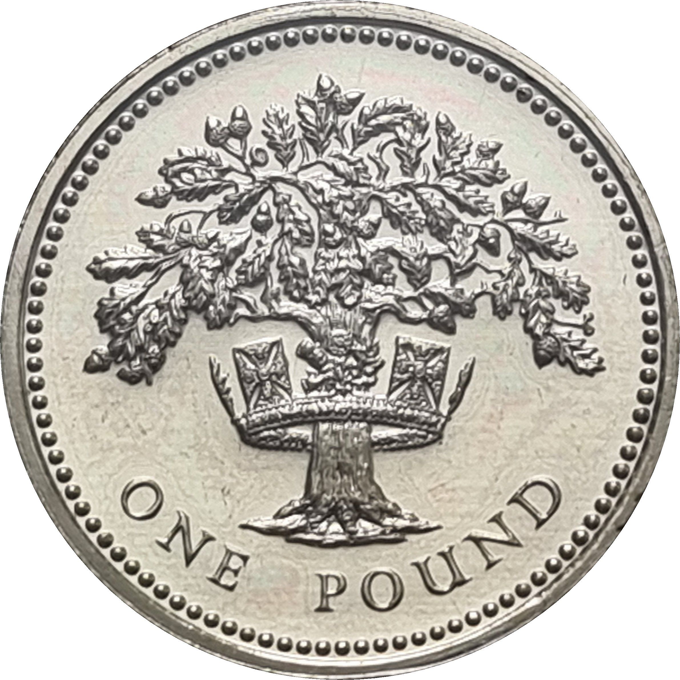 1 Pound - Elizabeth II 3rd portrait; English Oak reverse