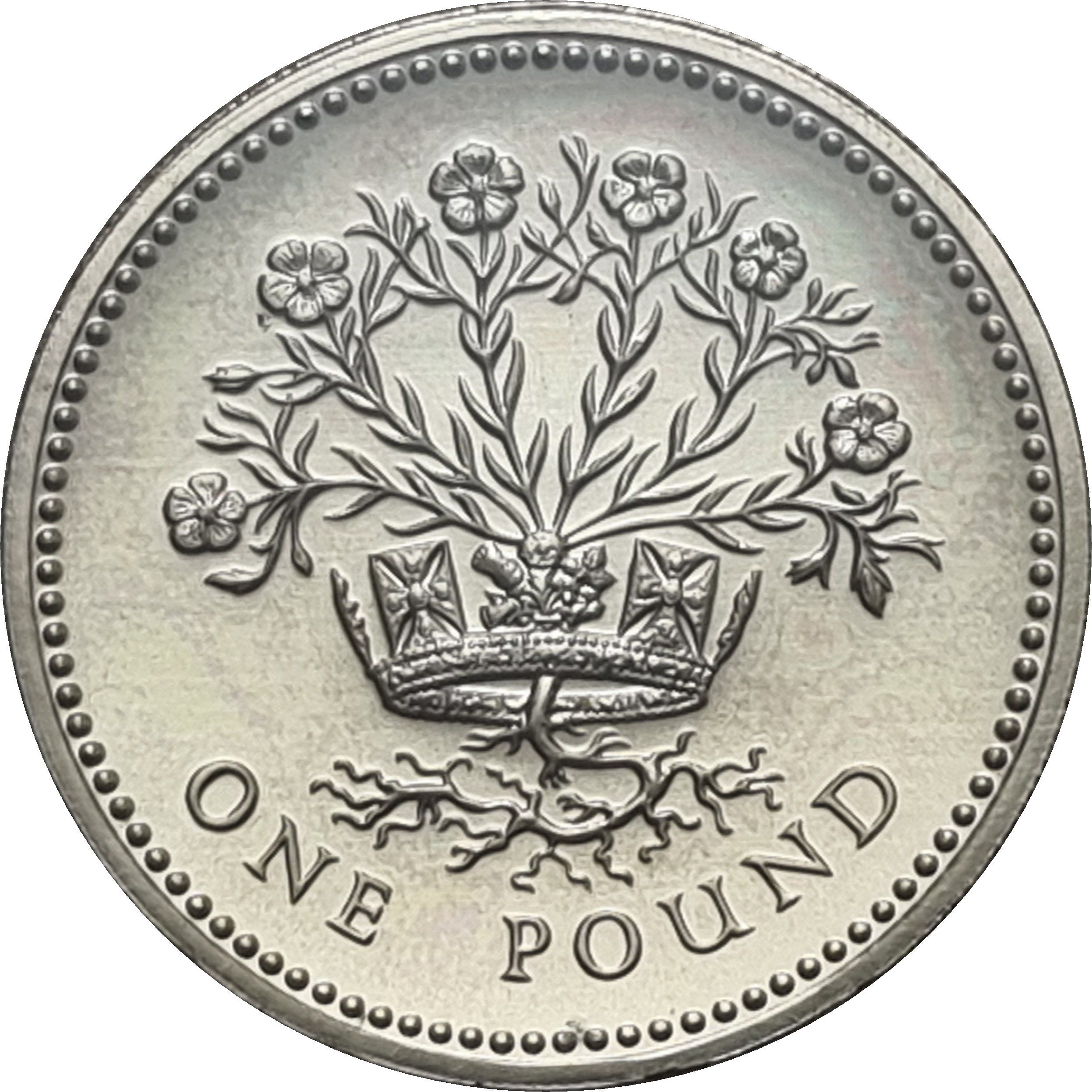 1 Pound - Elizabeth II 3rd portrait; Northern Irish Flax reverse
