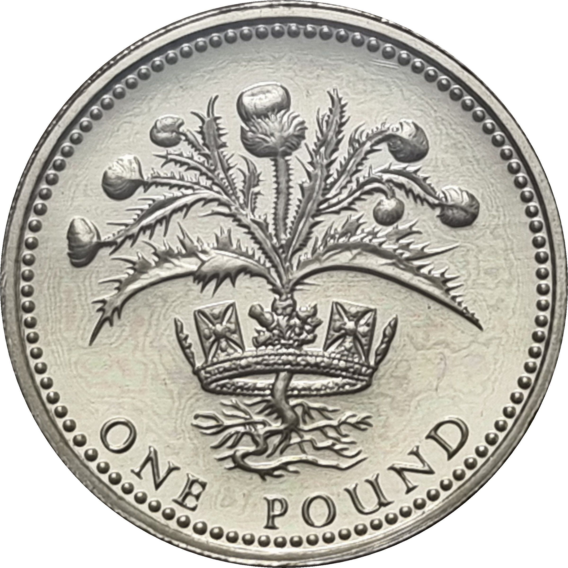 1 Pound - Elizabeth II 3rd portrait; Scottish Thistle reverse