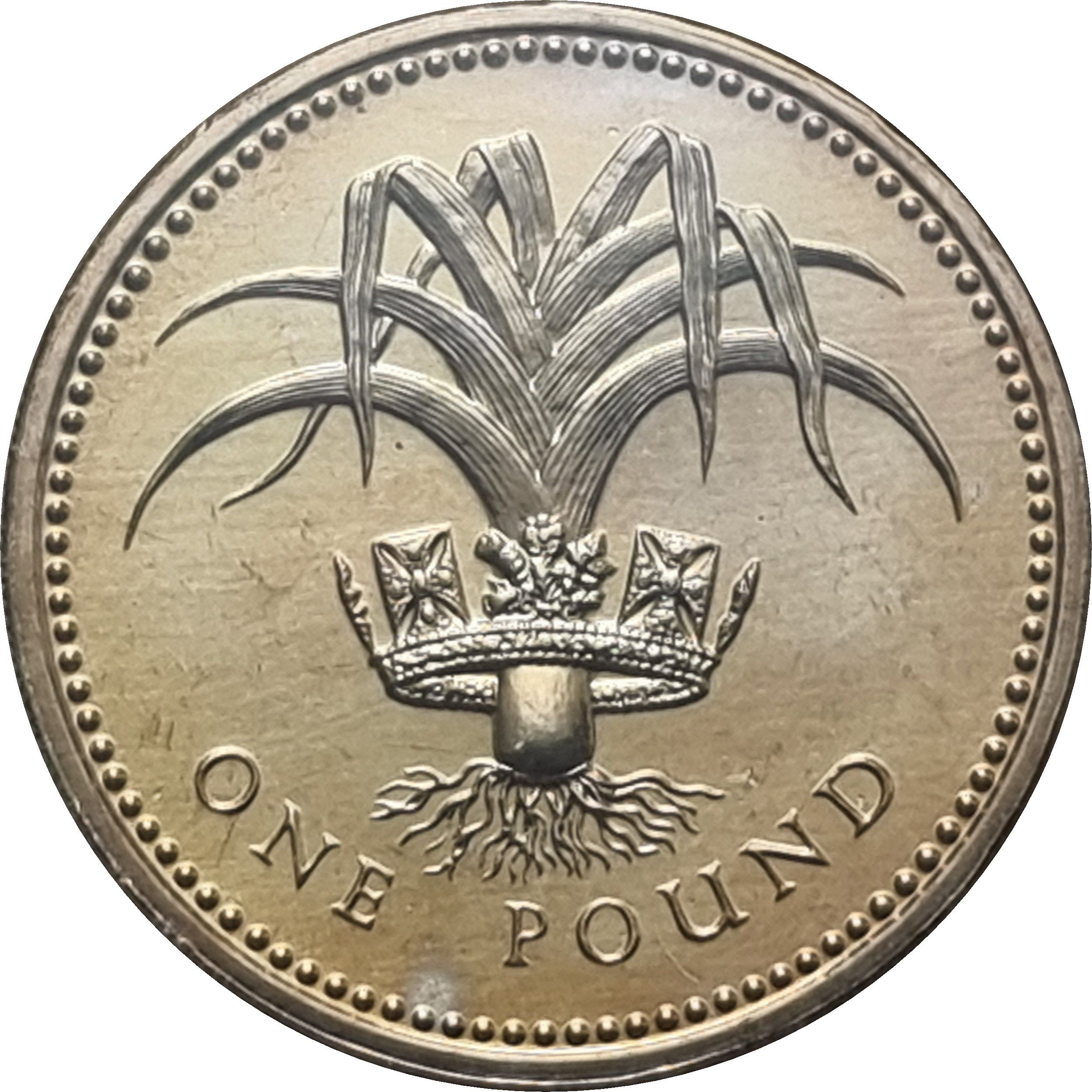 1 Pound - Elizabeth II 3rd portrait; Welsh Leek reverse