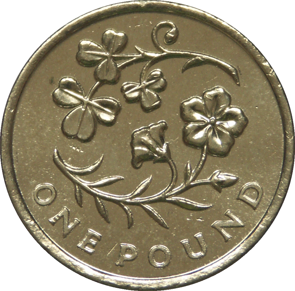 1 Pound - Elizabeth II 4th portrait; Flax and Shamrock reverse