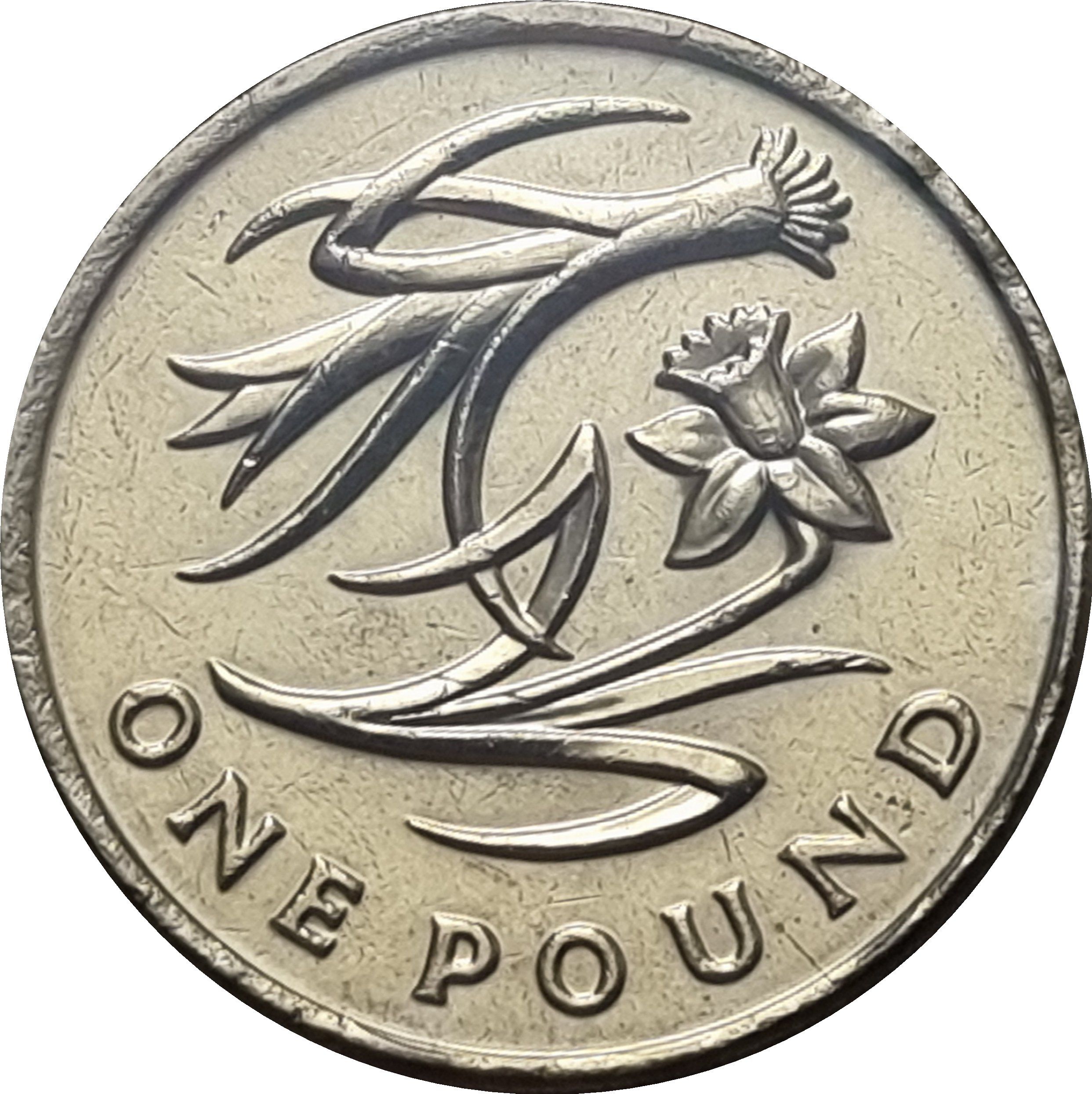 1 Pound - Elizabeth II 4th portrait; Leek and Daffodil reverse