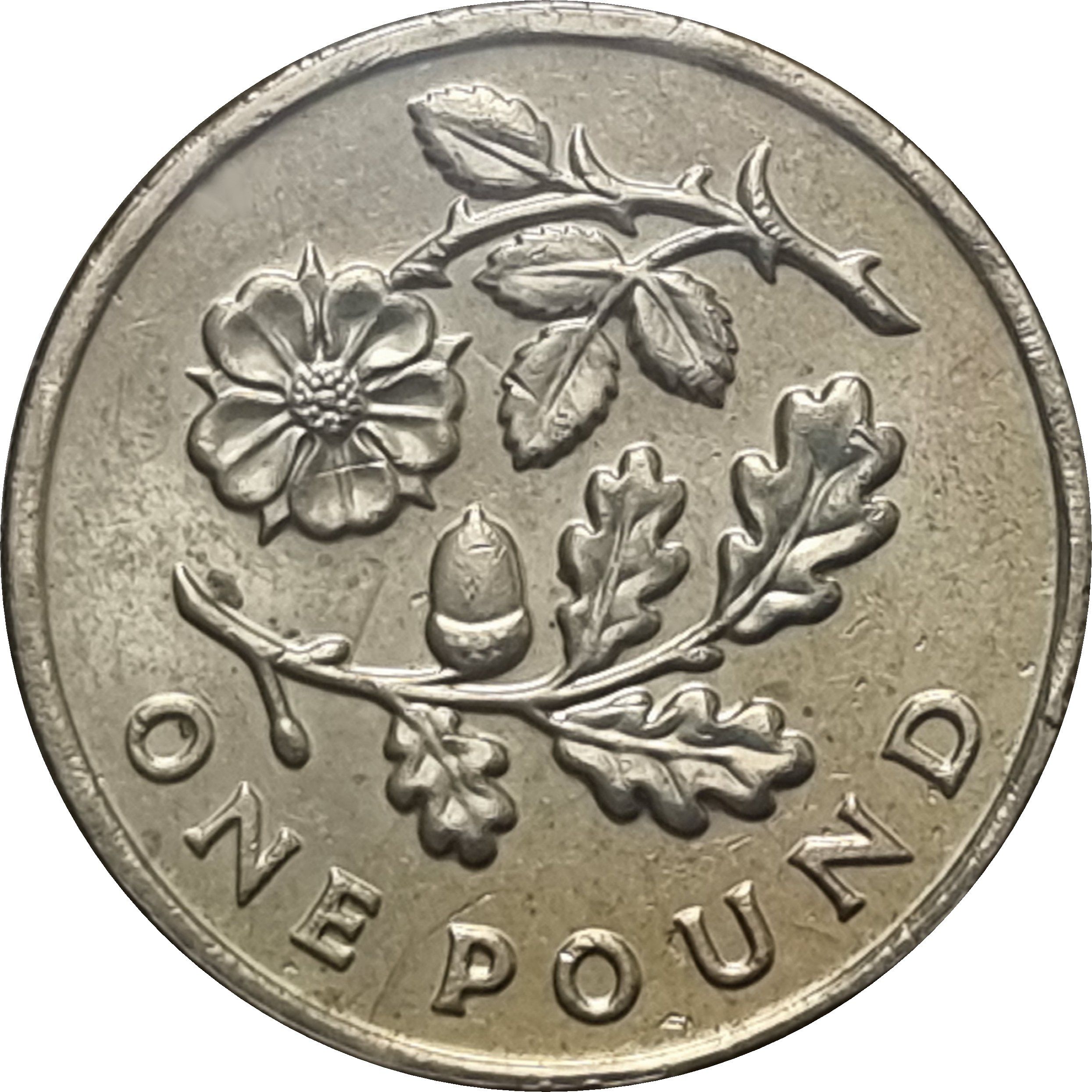 1 Pound - Elizabeth II 4th portrait; Oak and Rose reverse
