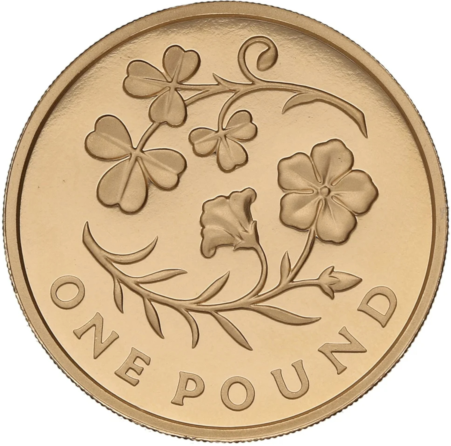 1 Pound - Elizabeth II Flax and Shamrock; Gold Proof reverse