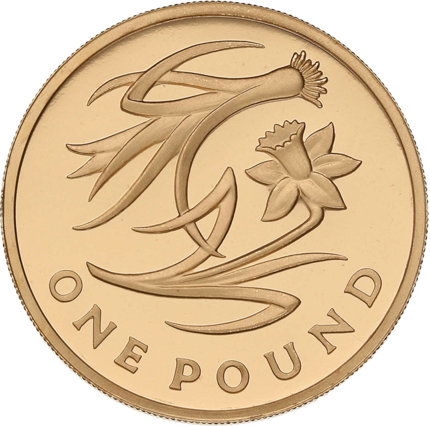 1 Pound - Elizabeth II Leek and Daffodil; Gold Proof reverse