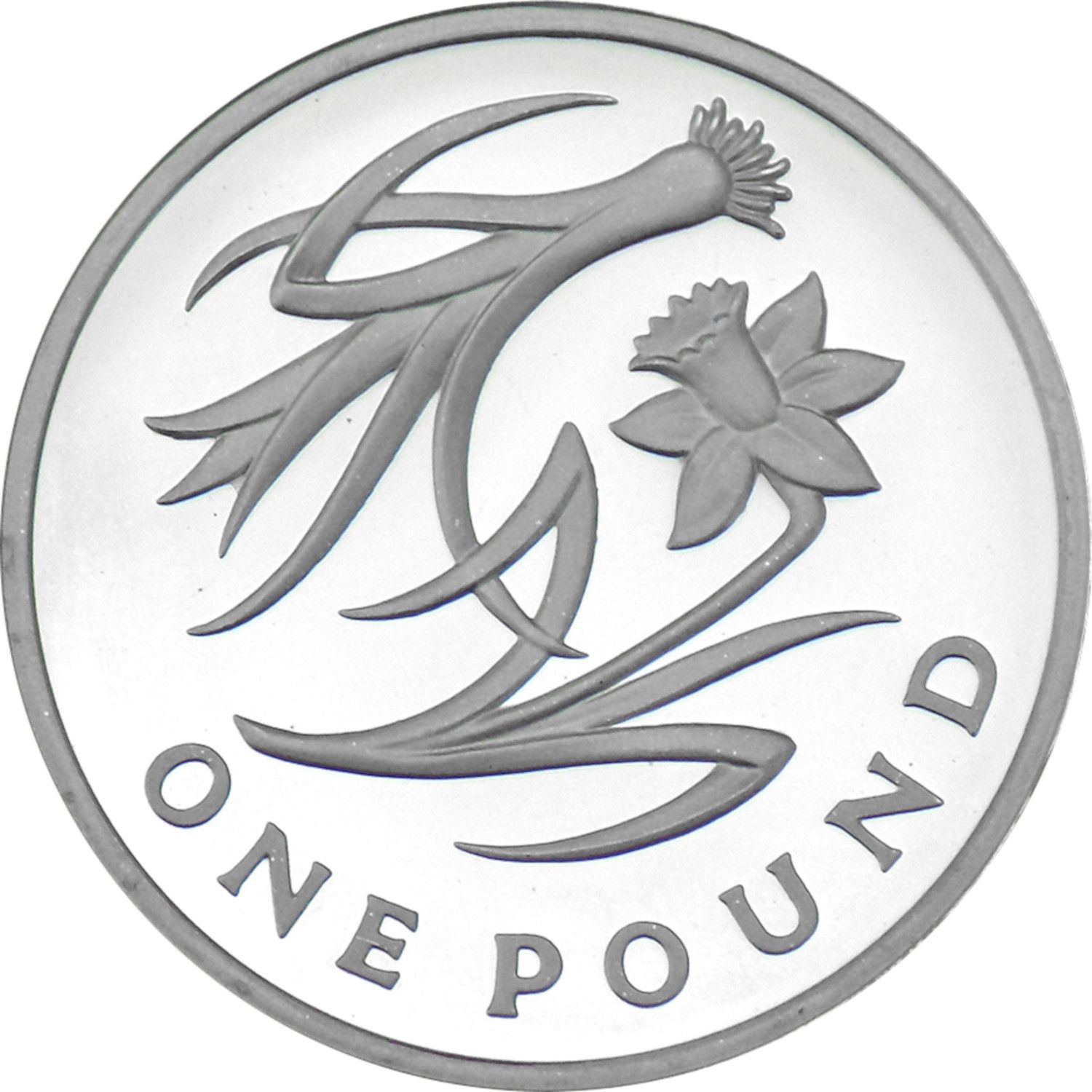 1 Pound - Elizabeth II Leek and Daffodil; Silver Proof reverse