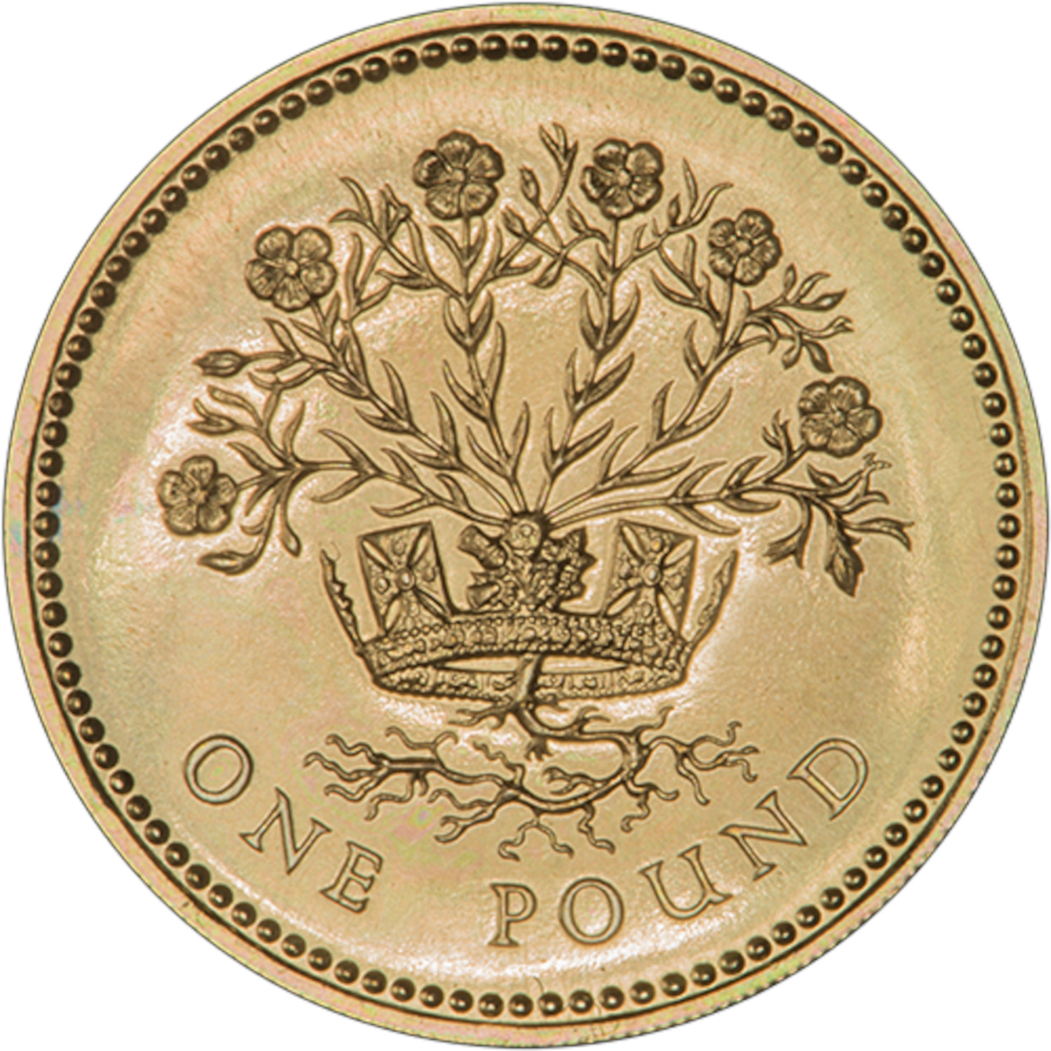 1 Pound - Elizabeth II Northern Irish Flax; Gold Proof reverse
