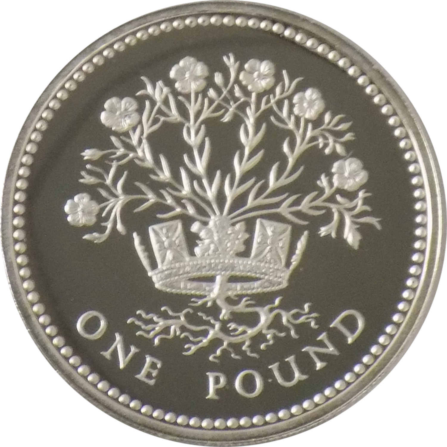1 Pound - Elizabeth II Northern Irish Flax; Silver Piedfort reverse