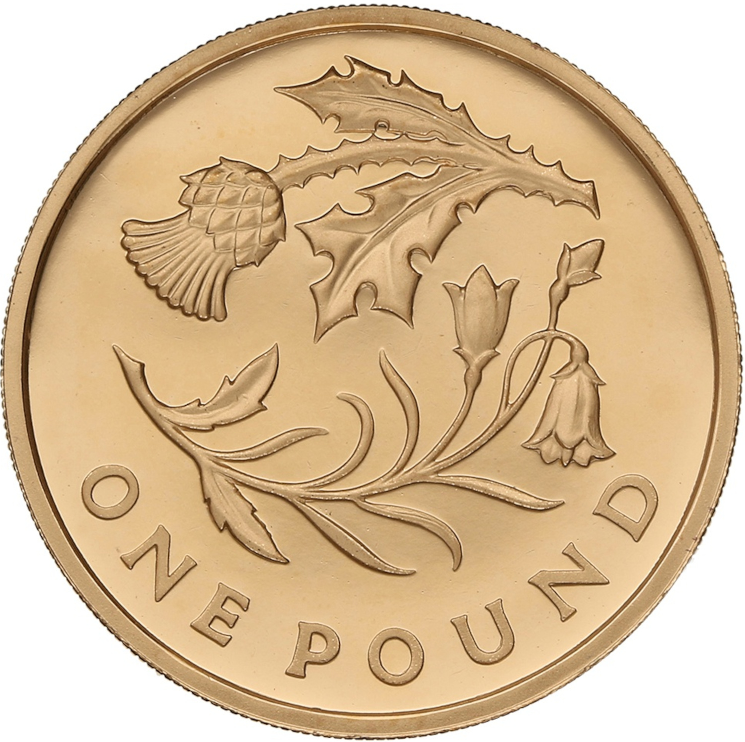 1 Pound - Elizabeth II Thistle and Bluebell; Gold Proof reverse