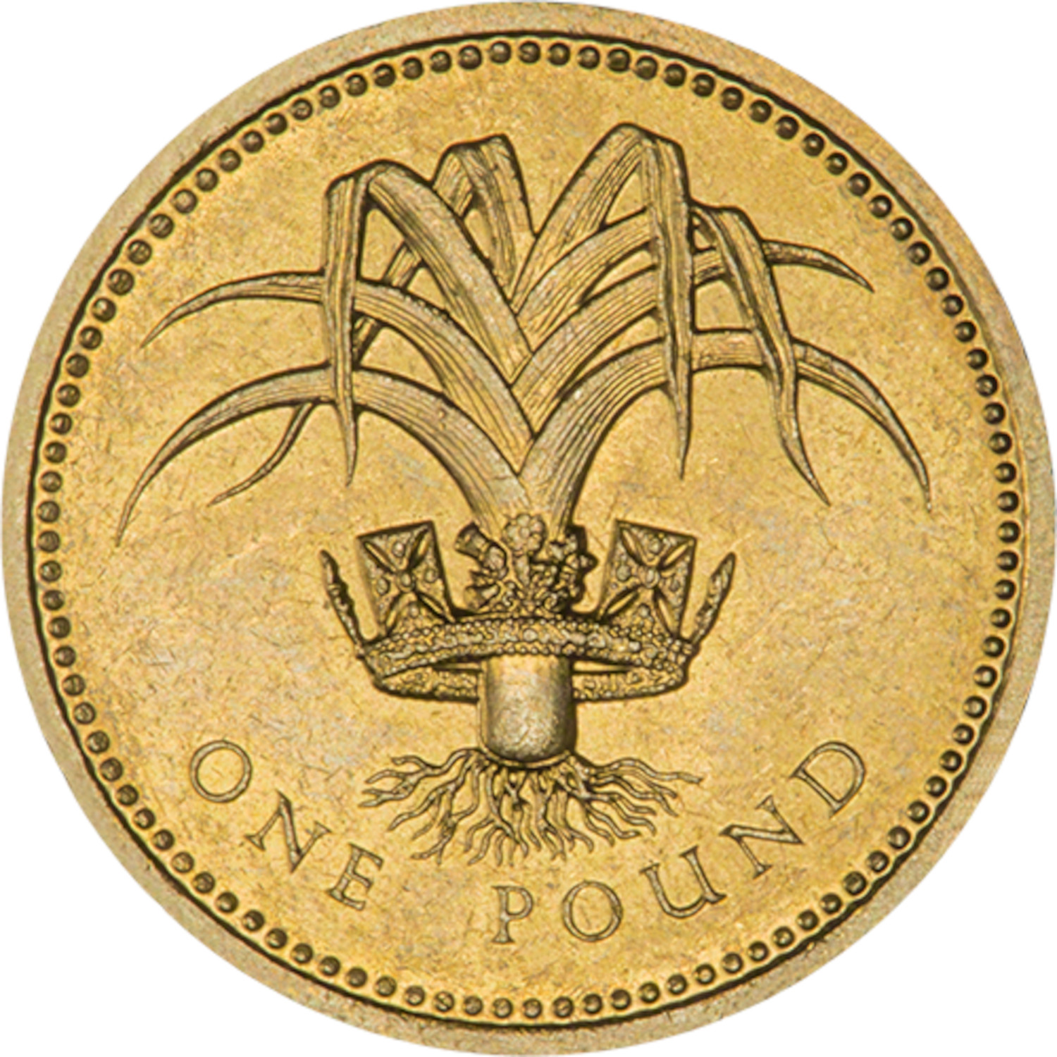 1 Pound - Elizabeth II Welsh Leek; Gold Proof reverse