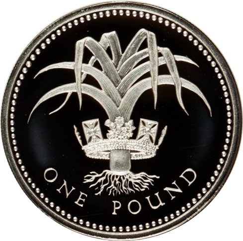 1 Pound - Elizabeth II Welsh Leek; Silver Piedfort reverse