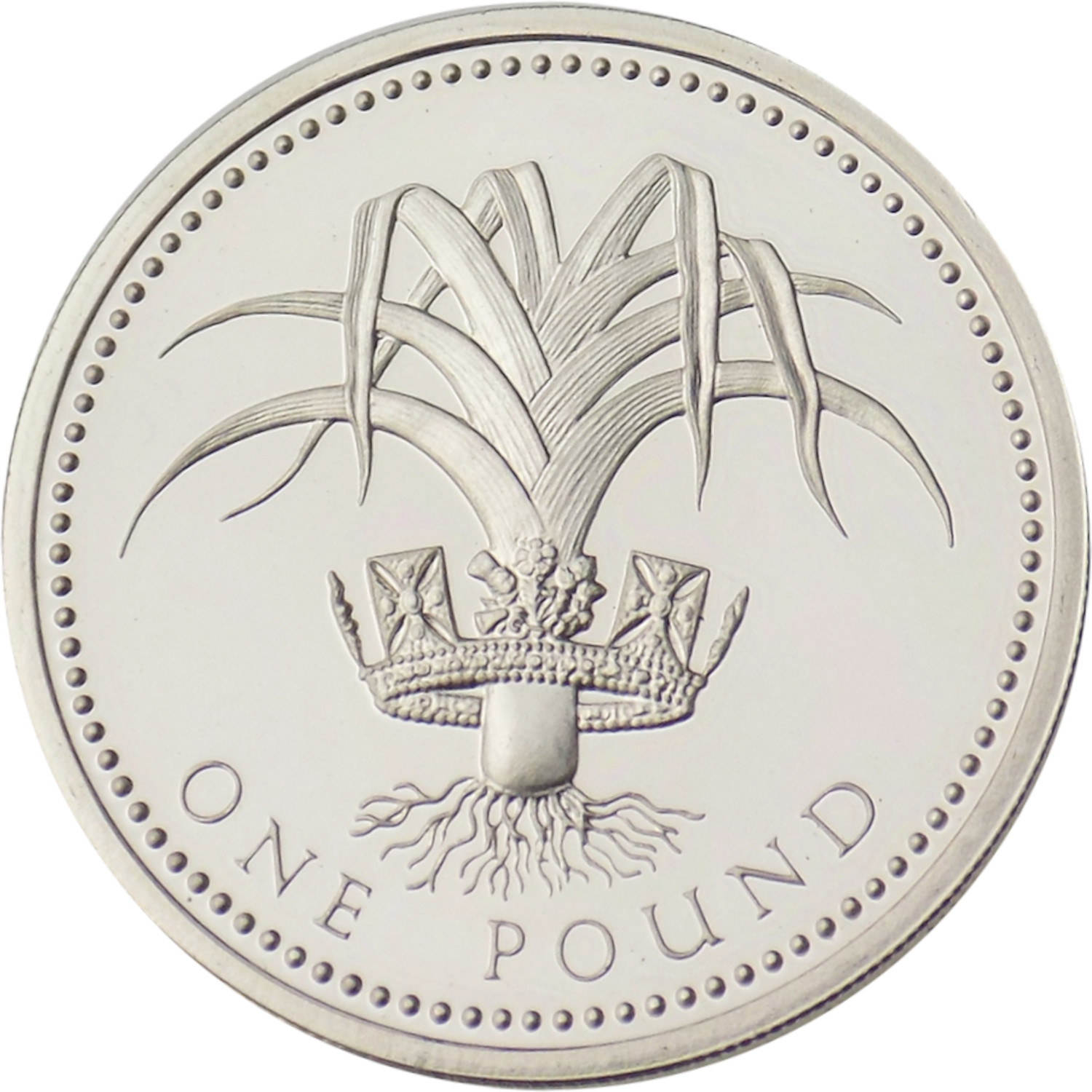 1 Pound - Elizabeth II Welsh Leek; Silver Proof reverse