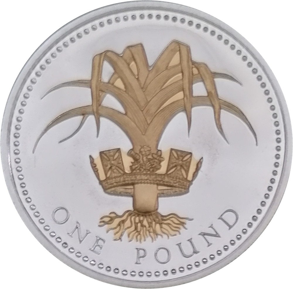 1 Pound - Elizabeth II Welsh Leek; Silver Proof reverse