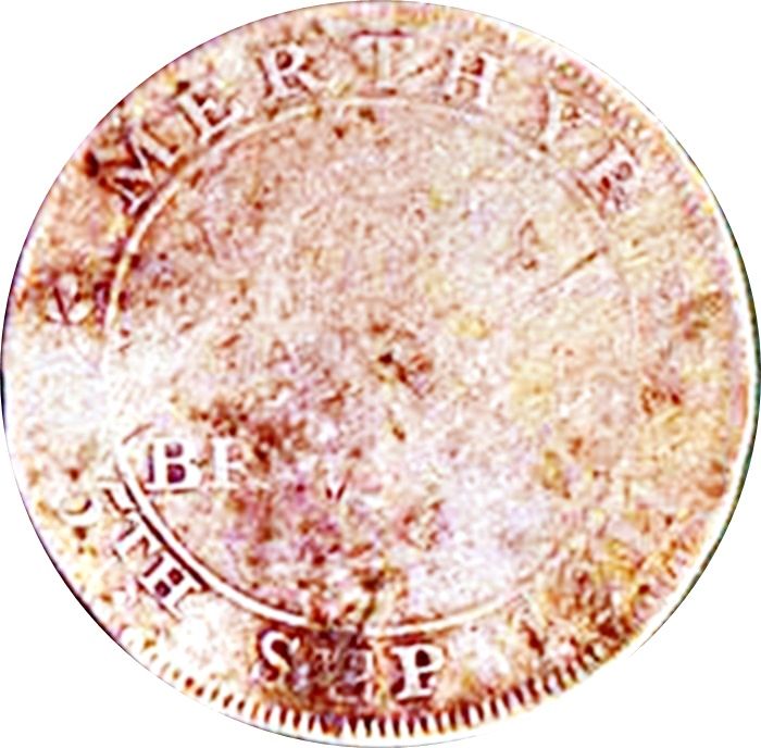 1 Shilling Somersetshire - Bristol / Merthyr reverse