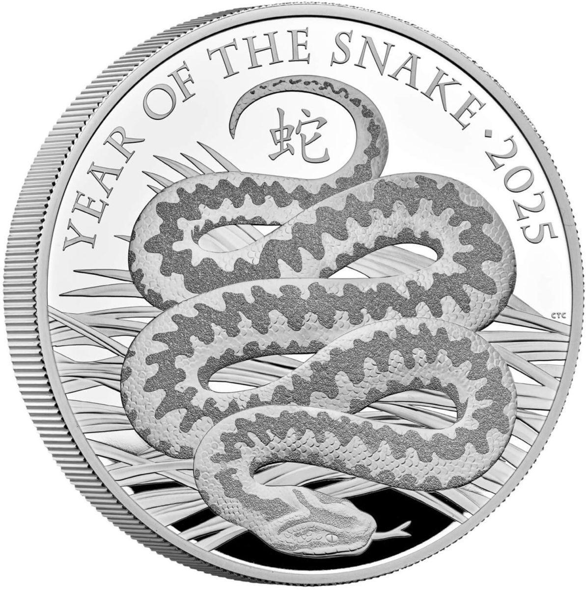 10 Pounds - Charles III Year of the Snake; Silver Proof