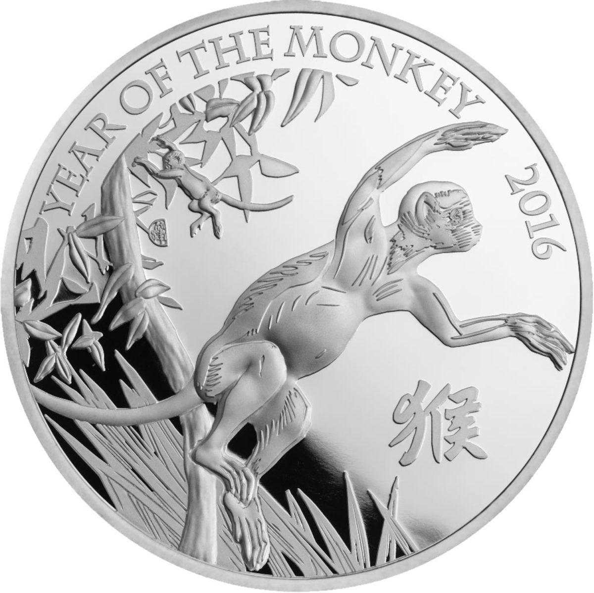 10 Pounds - Elizabeth II Year of the Monkey; Silver Proof reverse