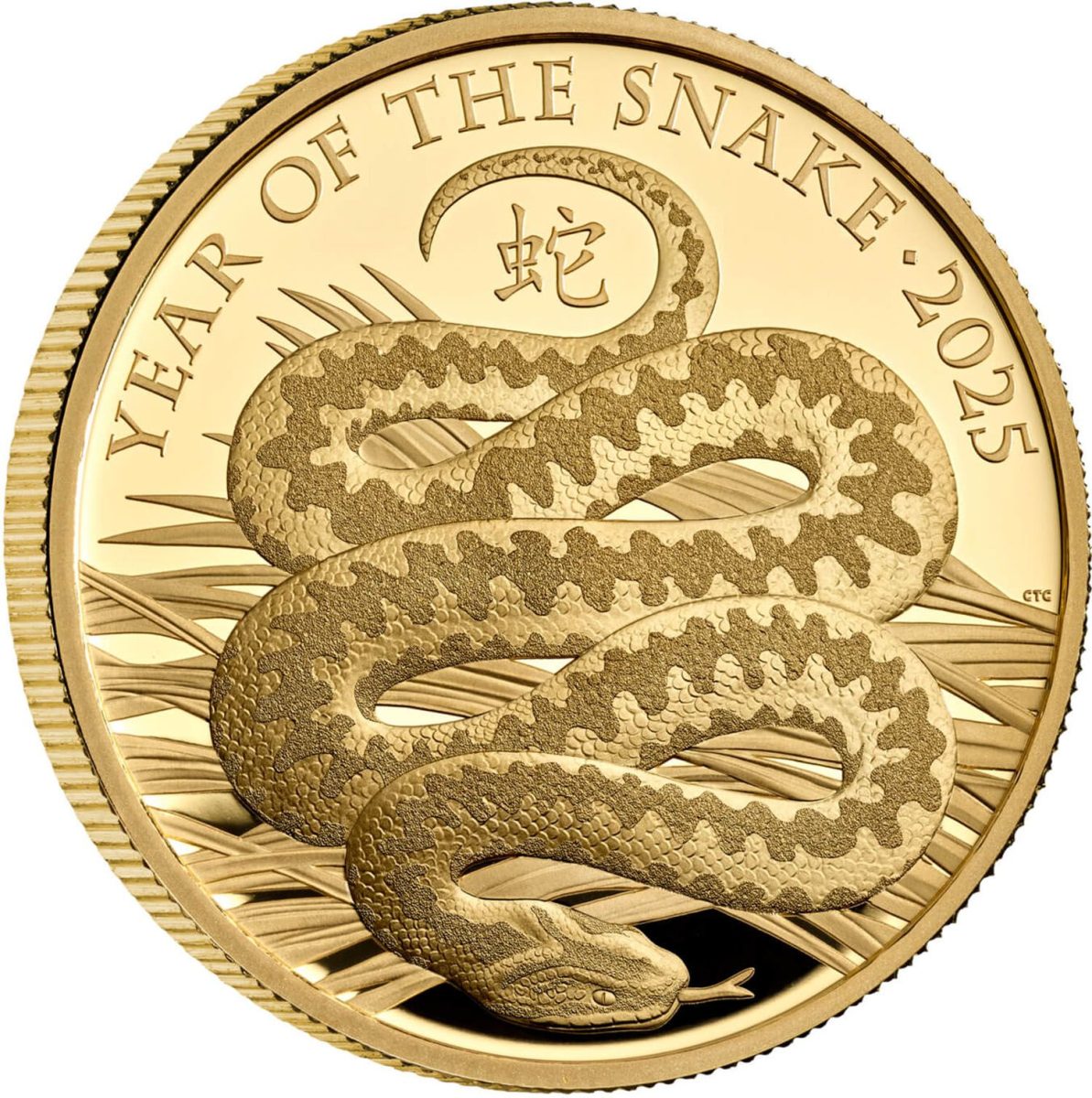 100 Pounds - Charles III Year of the Snake; Gold Proof
