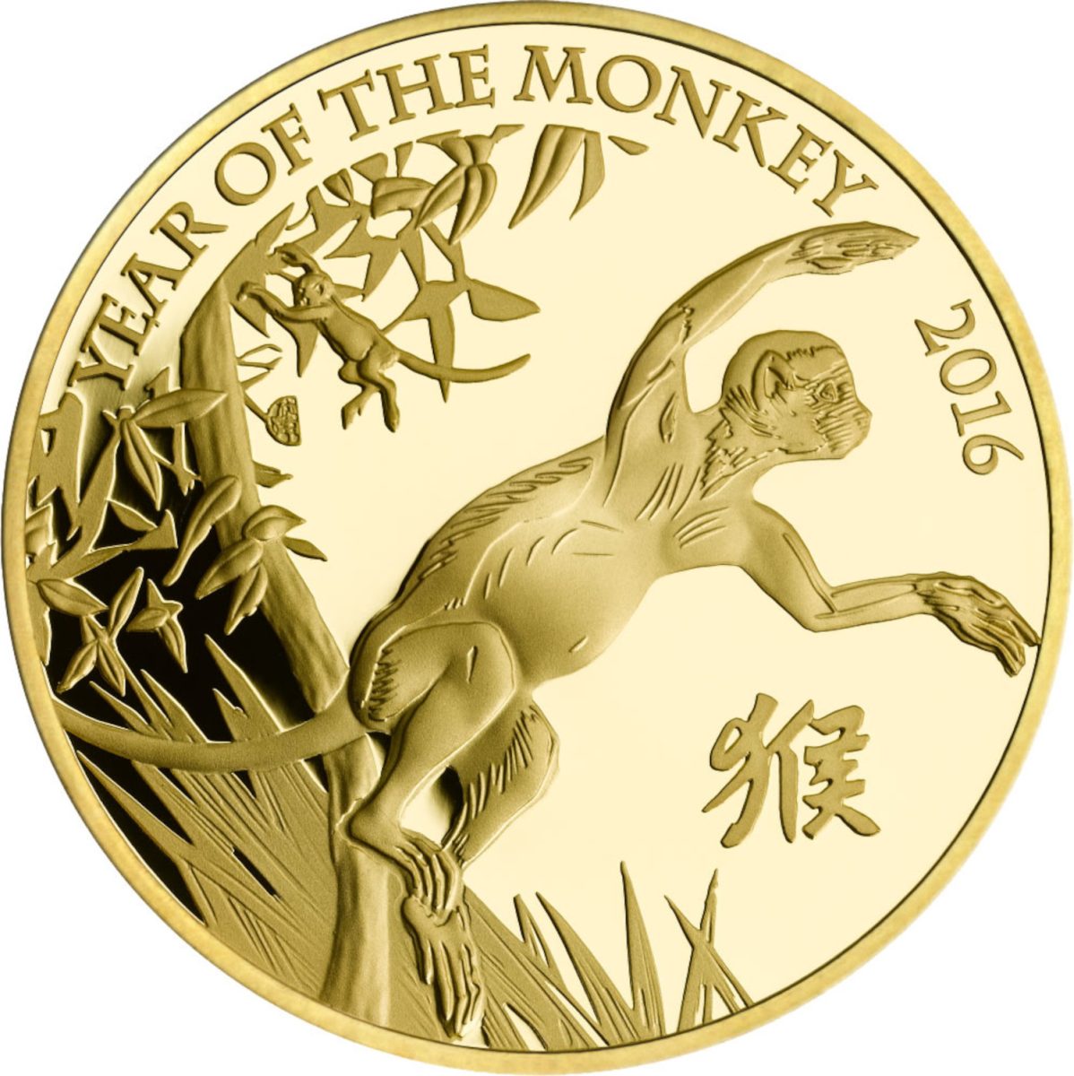 100 Pounds - Elizabeth II Year of the Monkey; Gold Proof