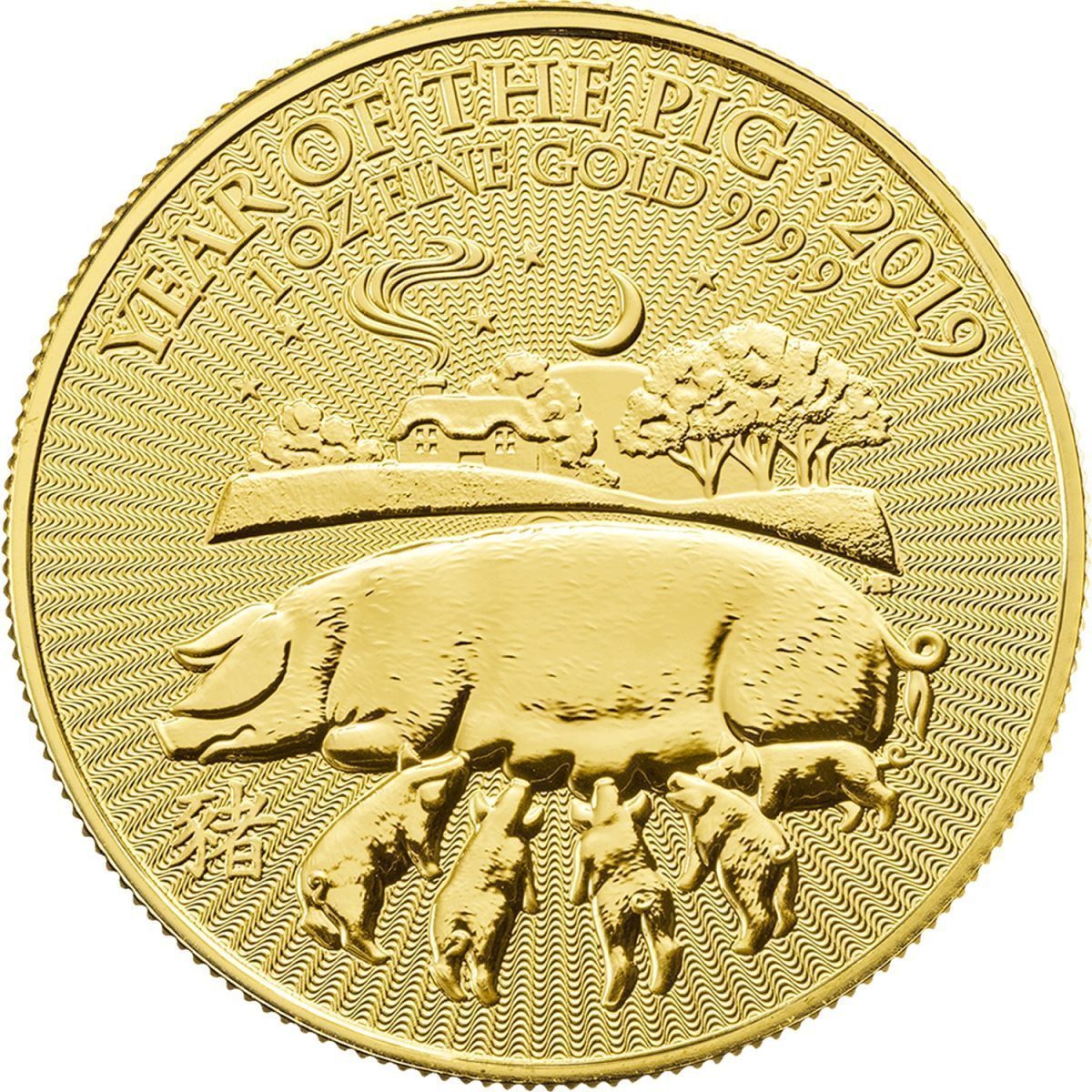 100 Pounds - Elizabeth II Year of the Pig; 1 oz Fine Gold