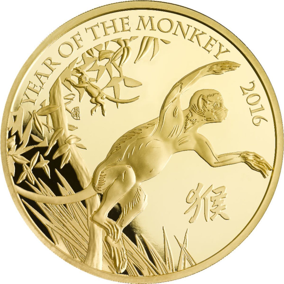 1000 Pounds - Elizabeth II Year of the Monkey; Gold Proof